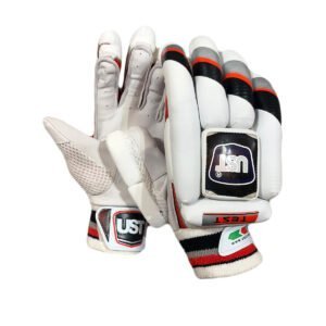 TEST BATTING GLOVES