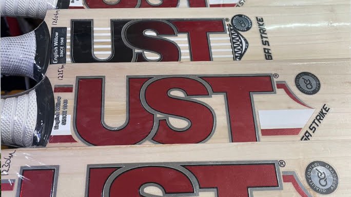 Guide for buying a Cricket Bat