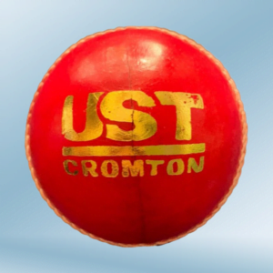 Cricket Ball